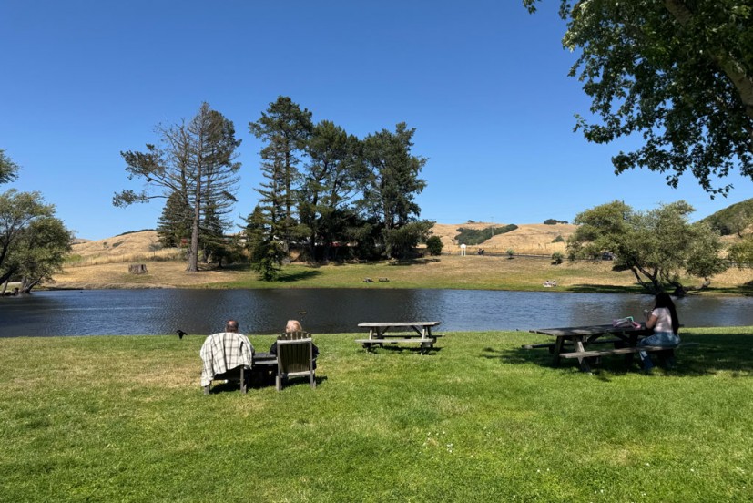 Pond and picnic area at the Cheese Factory