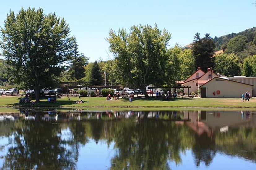 Family Picnics at Marin's Cheese Factory Marin Mommies