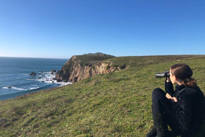 Chimney Rock Point Reyes