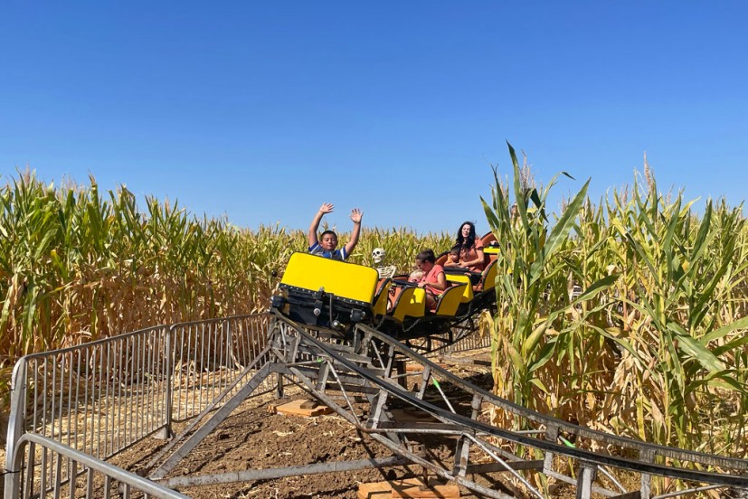 Three Nunns Farm pumpkin patch Corn Coaster Brentwood