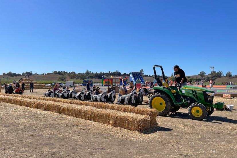 Santa Rosa Pumpkin Patch