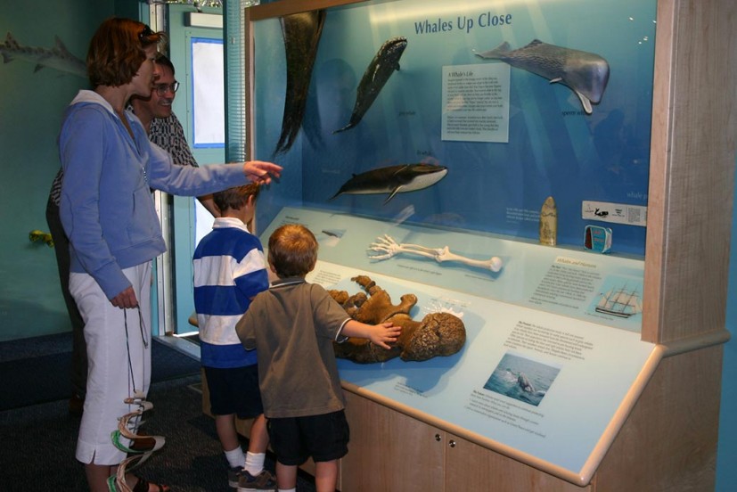 Crab Cove Visitor Center Aquarium Alameda