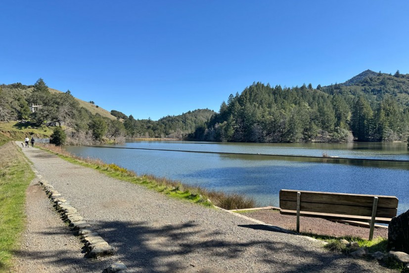 Lake Lagunitas dam