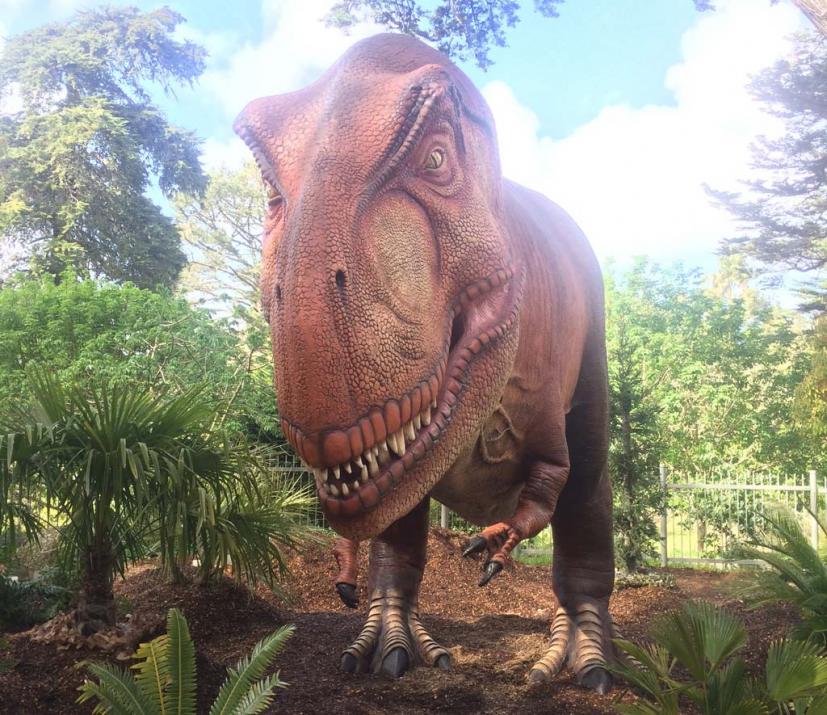 Dino Days at California Academy of Sciences