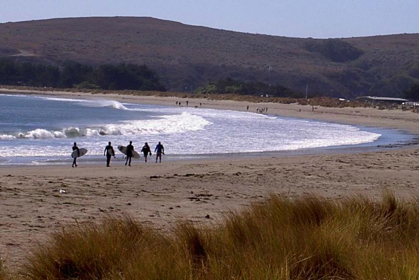 Doran Beach Bodega Bay