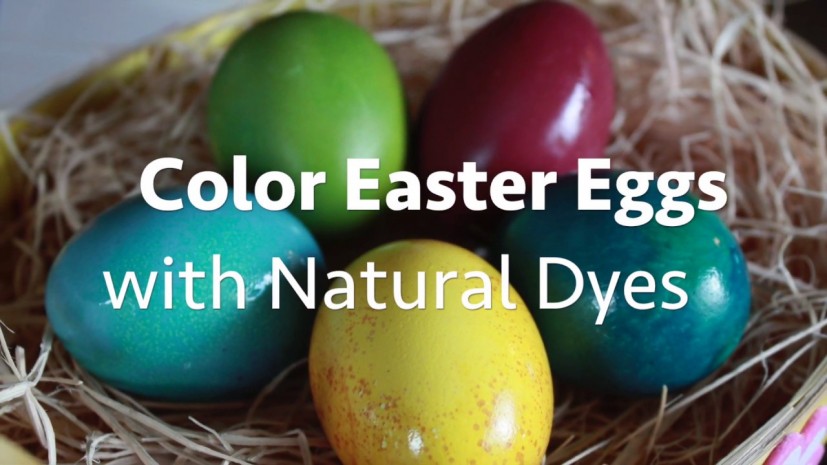 Color Easter Eggs with Natural Dyes video