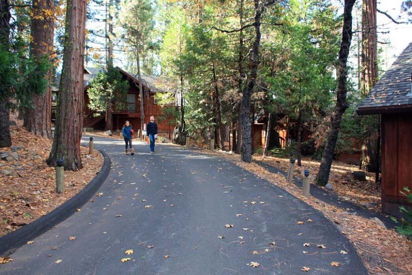 ​Evergreen Lodge Yosemite