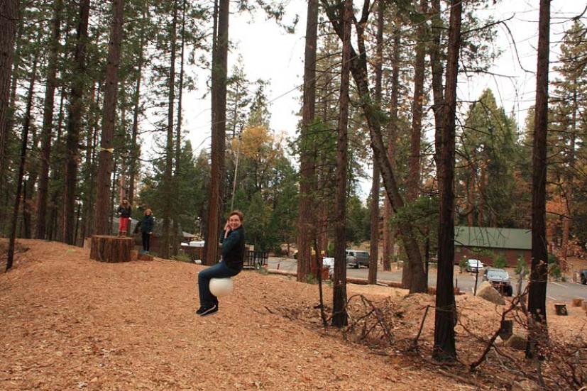 ​Evergreen Lodge Yosemite