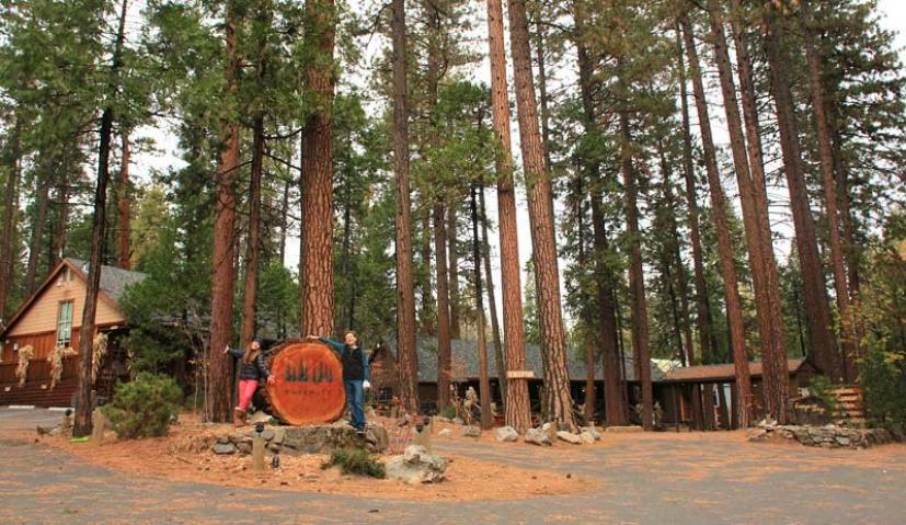 ​Evergreen Lodge Yosemite