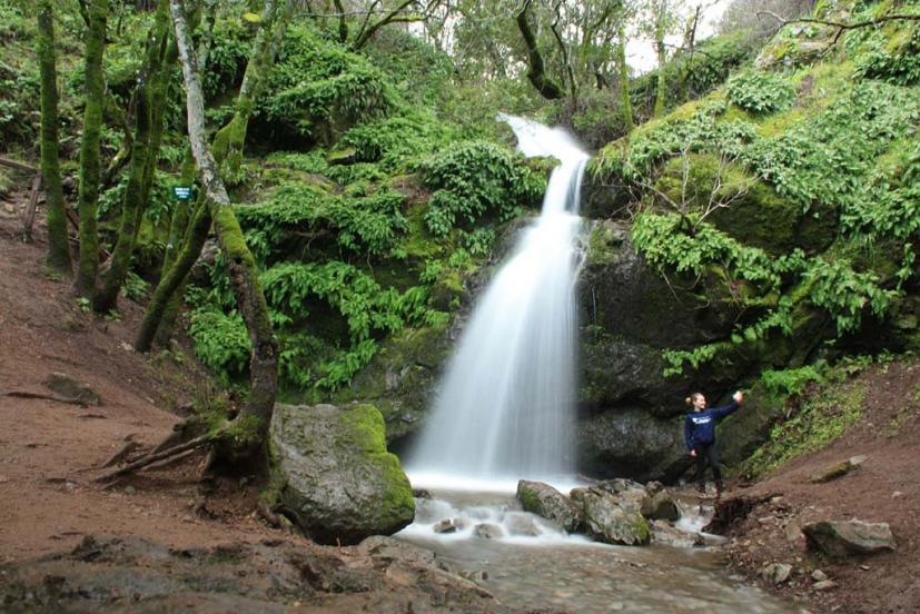 Fairway waterfall Novato