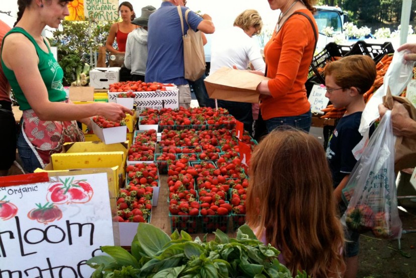 Marin Farmers Markets, Marin Mommies