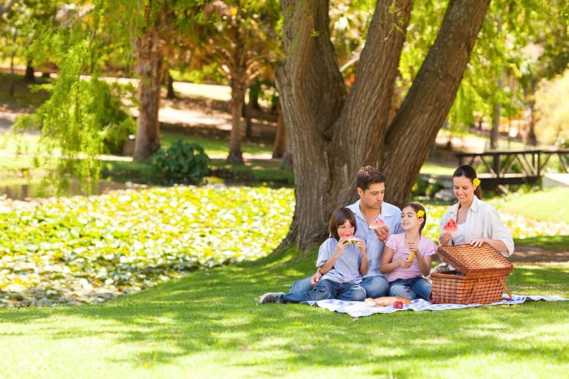 Best Father's Day Picnic Spots