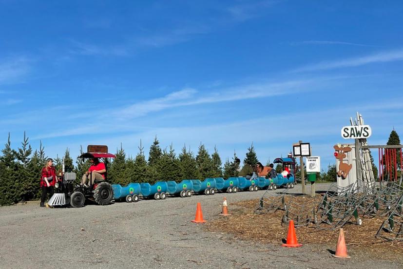 Frosty Mountain tree farm kids' train frosty express