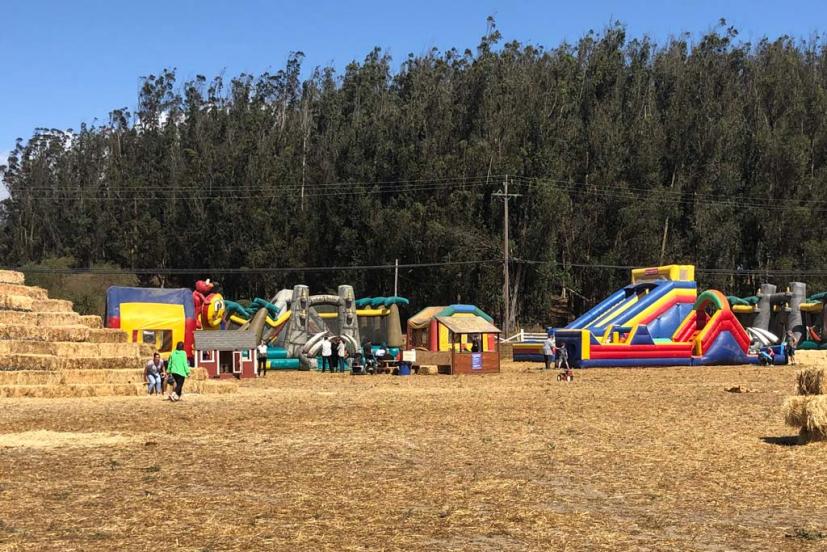 McClellands Dairy Pumpkin Patch