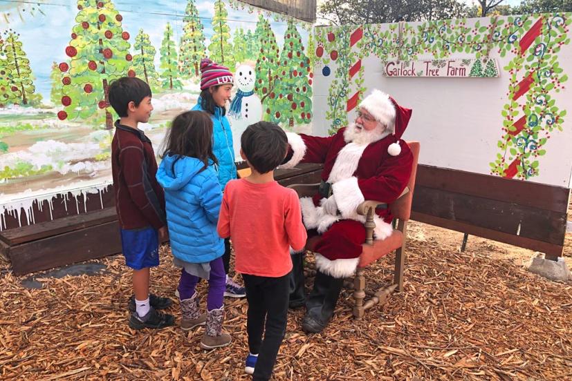 Santa at Garlock Tree Farm