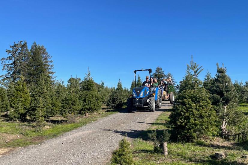 Garlock tree farm tractor ride