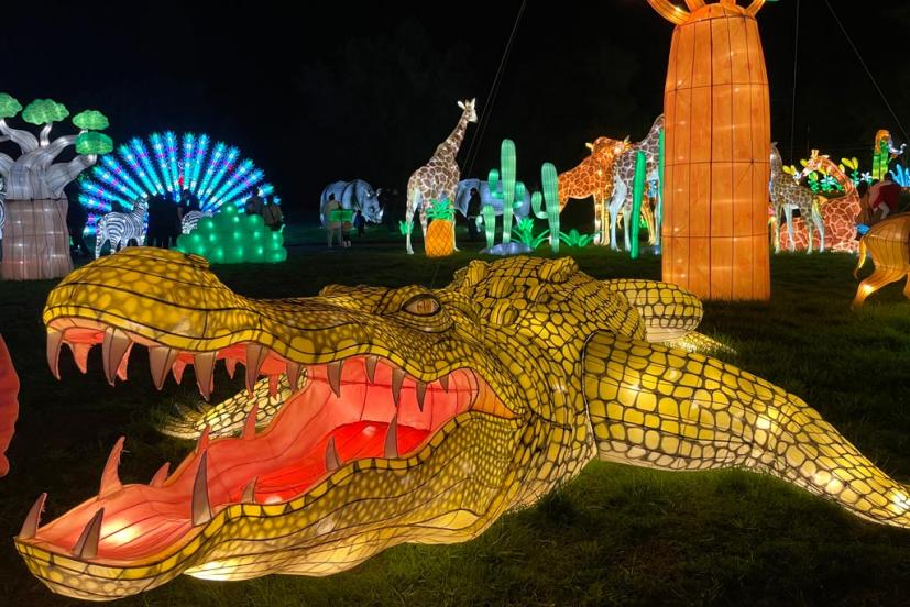 Oakland Zoo Christmas Lights 2021 Glowfari Lights Up The Night At The Oakland Zoo Marin Mommies