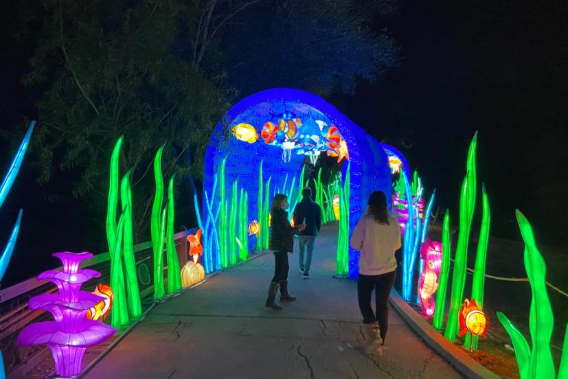 Glowfari Lantern Festival Lights Up the Oakland Zoo Marin Mommies