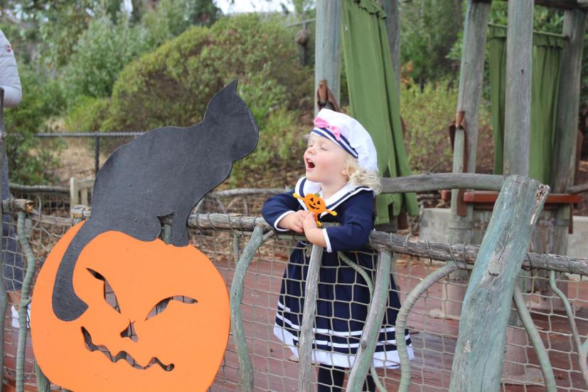 Family Halloween Events in Marin & the Bay Area