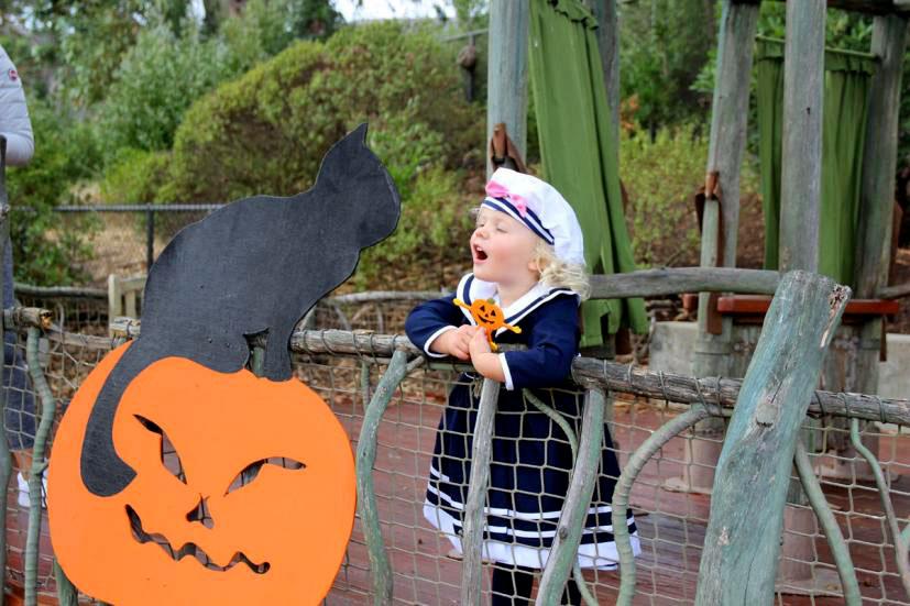 Family Halloween Events in Marin & the Bay Area