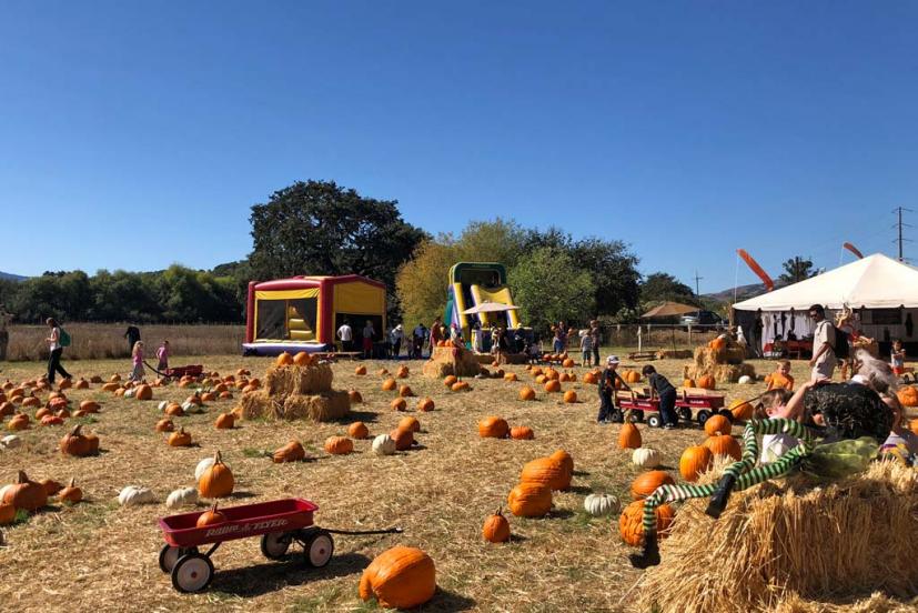 Godmothers Pumpkin Patch St. Vincent's