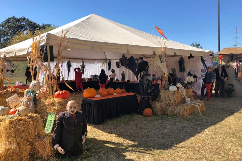 Godmothers Pumpkin Patch St. Vincent's