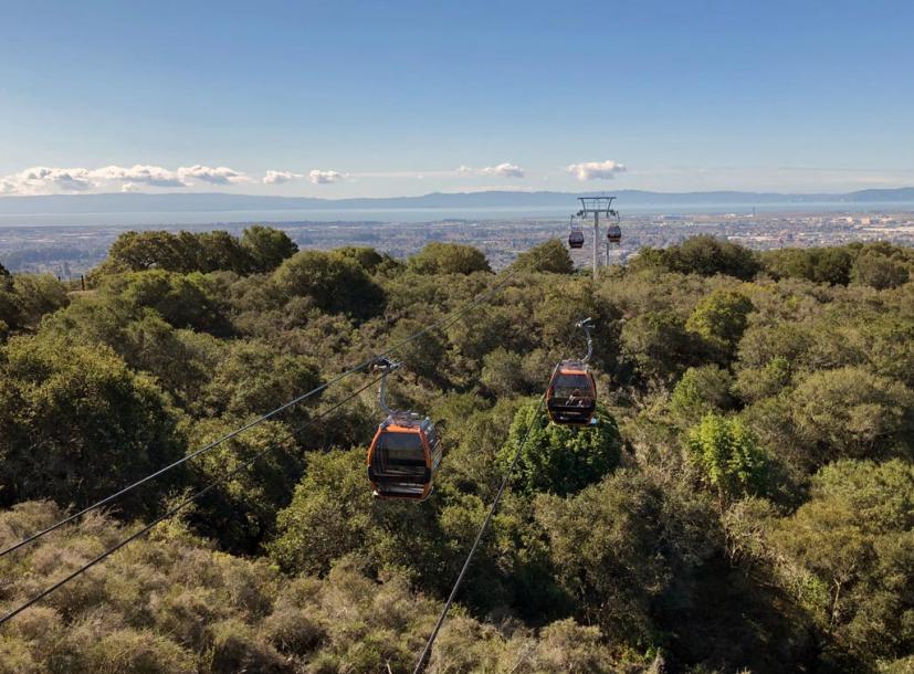 Oakland Zoo gondolas