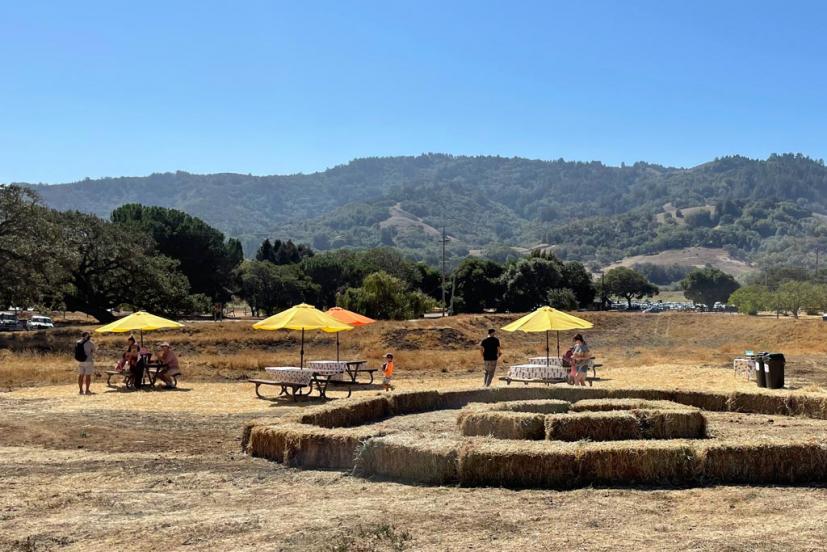 Grossi Family Farm Pumpkin Patch Novato Marin County