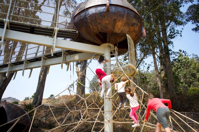 Gumnut Grove Bay Area Discovery Museum