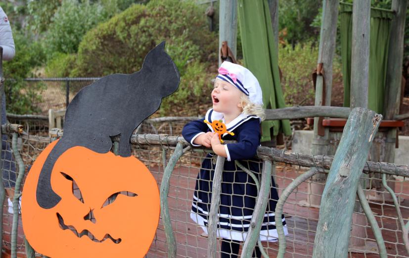 Family Halloween Events in Marin & the Bay Area 2022