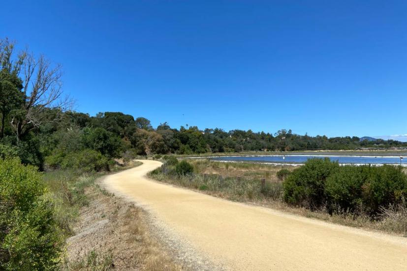 Bay Trail Hamilton Novato