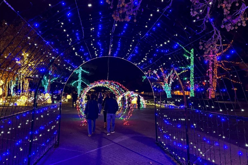 Holiday Light Spectacular at Marin Center in San Rafael light tunnel