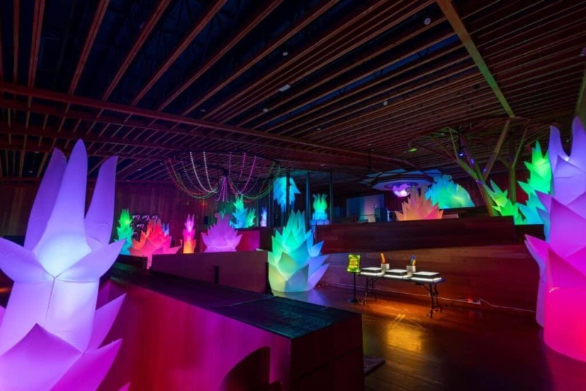 IlluminOdyssey, CuriOdyssey, San Mateo