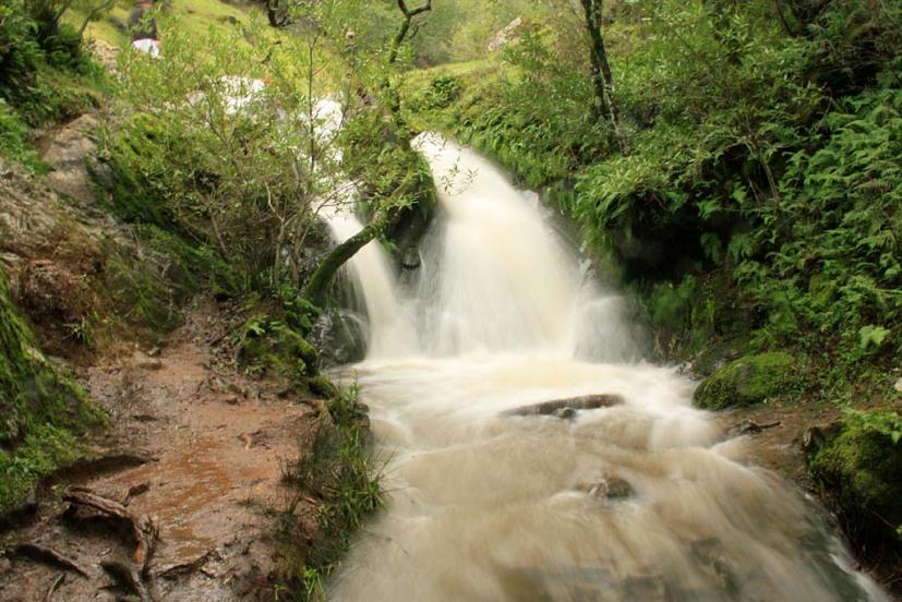 Waterfall Indian Valley Novato