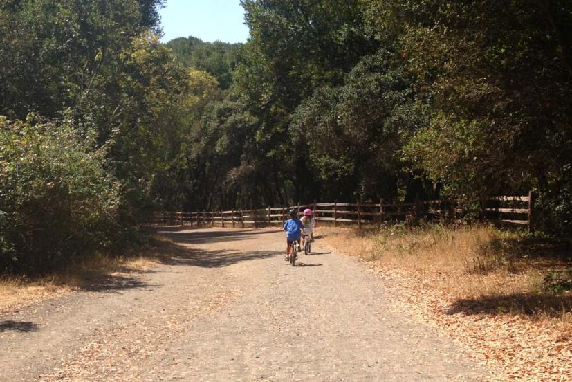 Indian Valley Open Space Preserve Novato