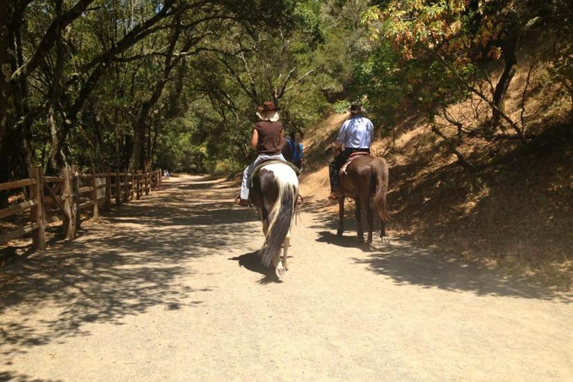 Indian Valley Open Space Preserve