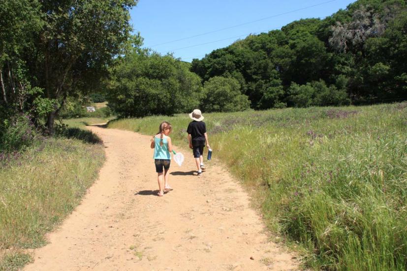 Indian Valley Open Space Preserve Novato