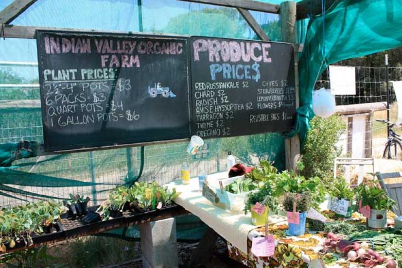 Indian Valley Organic Farm and Garden College of Marin