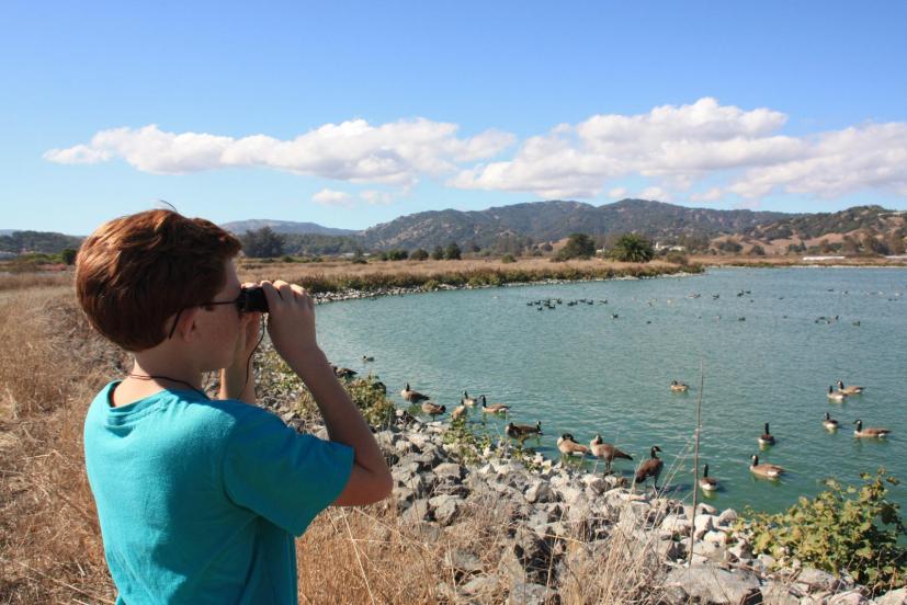 Las Gallinas Wildlife Ponds