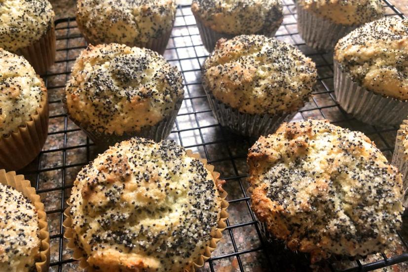 Lemon Poppyseed muffins