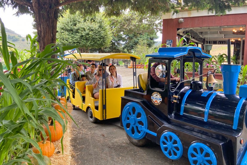 Lemos Farm pumpkin patch Half Moon Bay