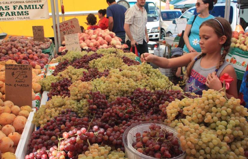 Farmer's Market