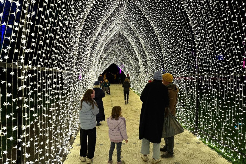 Light tunnel with family at Lightscape San Francisco Botanical Garden