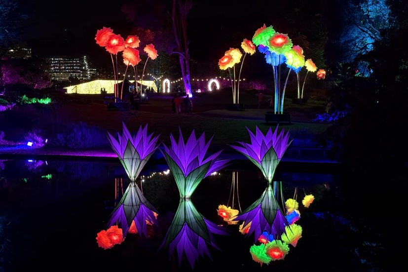 Lightscape view with floating lights and giant flowers