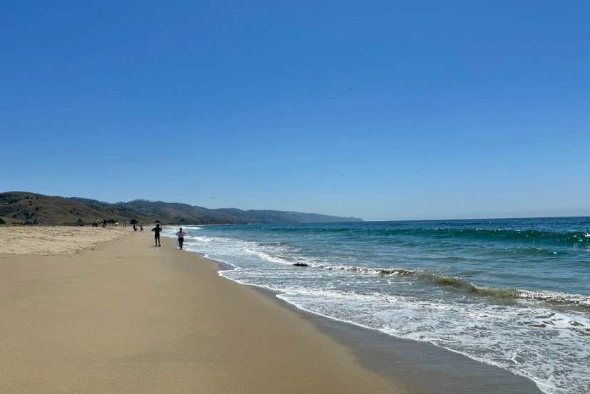 Limantour Beach Point Reyes National Seashore
