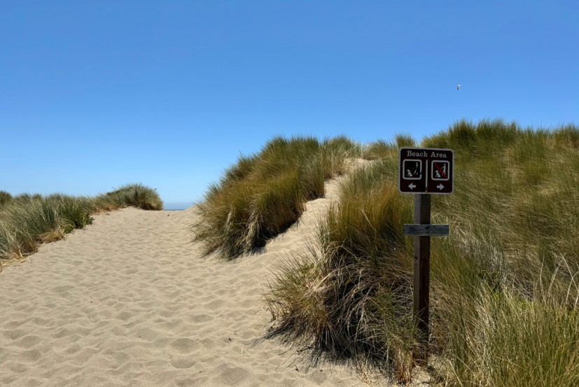 Limantour Beach Point Reyes National Seashore