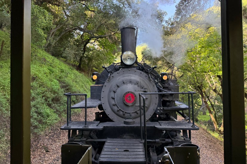 Steam locomotive front Niles Canyon Railway