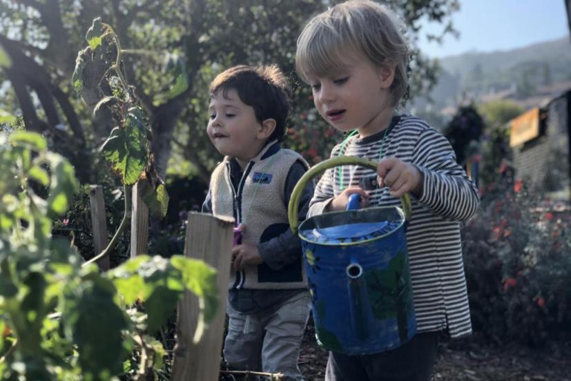 The Early Learning Program at LFSF, the Lycée Français de San Francisco