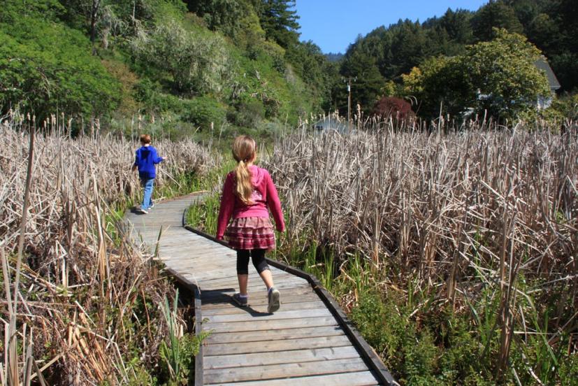 Martin Griffin Preserve Stinson Beach