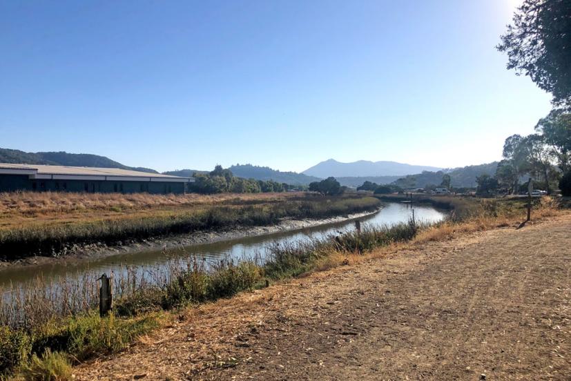 McInnis Marsh San Rafael